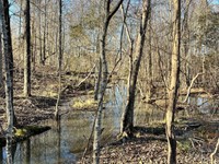 White Plains Tract : White Plains : Greene County : Georgia