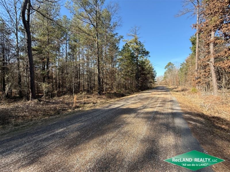 30 Ac Wooded Tract for Home Sites : Bastrop : Morehouse Parish : Louisiana