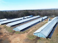 4 Houses Broiler Farm : Nicholson : Jackson County : Georgia