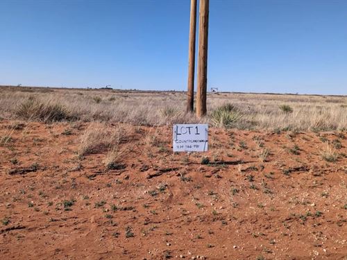 12.5Ac Levelland, TX 107908 $489/Mo : Levelland : Hockley County : Texas