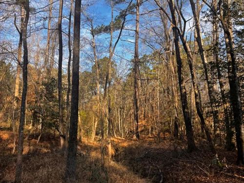 19 Acres in Ouachita County, AR : Camden : Ouachita County : Arkansas