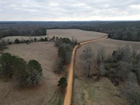 100 Acre Junkins Rd. Tract Fayet : Kennedy : Fayette County : Alabama