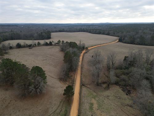 100 Acre Junkins Rd. Tract Fayet : Kennedy : Fayette County : Alabama