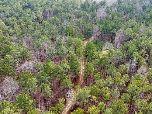 Randolph County 105 Acres, Huntin : Roanoke : Randolph County : Alabama