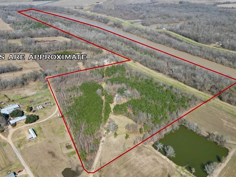 Tensas Riverfront Hunting Land Conc : Jonesville : Concordia Parish : Louisiana