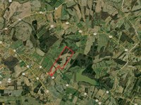 Online Real Estate Auction : Hodgenville : Larue County : Kentucky