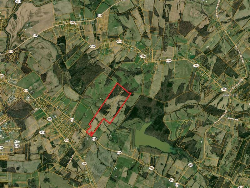 Online Real Estate Auction : Hodgenville : Larue County : Kentucky