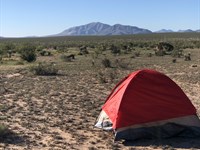 Texas Freedom- Camp, Build, Hunt : Fort Hancock : Hudspeth County : Texas