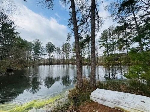 40 Acres on Mount Caramel Church Ro : Foxworth : Marion County : Mississippi