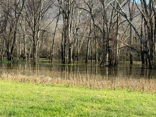 Prime 89 Acre Recreational Retr : Paint Rock : Jackson County : Alabama