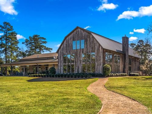 50 Acres, 3603 FM 1725, Willis : Willis : San Jacinto County : Texas