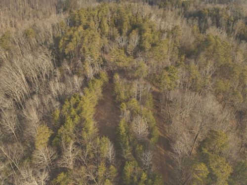 20 Acres in McMinn County, TN : Englewood : McMinn County : Tennessee