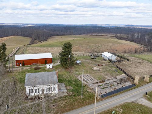 Land Auction, Jackson County, OH : Jackson : Ohio