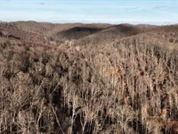 Land Auction, Pike County, OH : Waverly : Pike County : Ohio