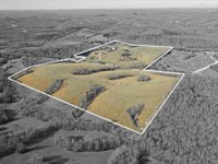 Ozarks Country Retreat on 103 Acre : Marshall : Searcy County : Arkansas