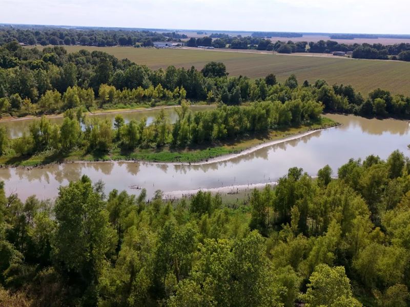 62.28 Acres in Bolivar County, MS : Shelby : Bolivar County : Mississippi