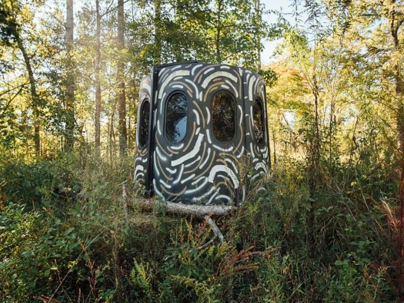 1,584.4 Acres in Marshall County : Holly Springs : Marshall County : Mississippi