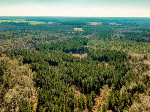 Richardson Creek Retreat : Millen : Jenkins County : Georgia