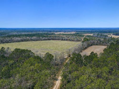 Premier Recreational & Timber Inves : Odum : Wayne County : Georgia