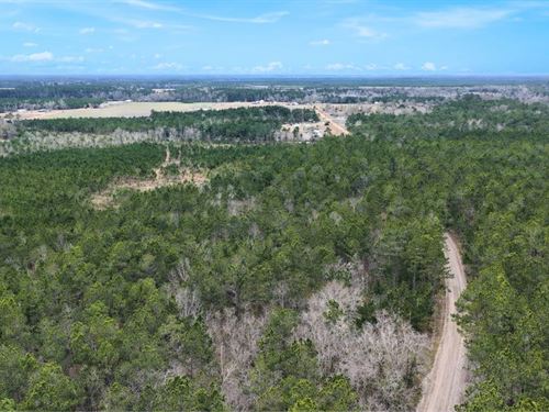 Wheaton Road Country Homesite, 15 : Odum : Wayne County : Georgia