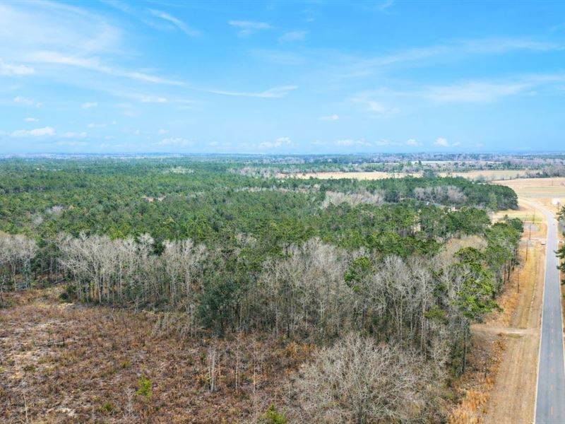 Tank Plant Road Timber & Hunting Re : Odum : Wayne County : Georgia