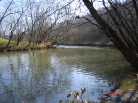 6 Acres Access To Raccoon Creek : Crown City : Gallia County : Ohio