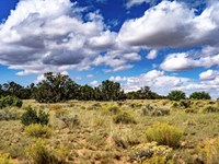 5 Acre Off-Grid Desert : Saint Johns : Apache County : Arizona