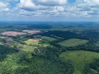 31.77 AC in Itawamba County, MS : Redwater : Itawamba County : Mississippi