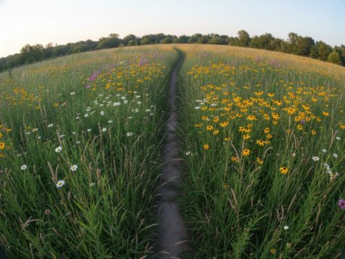 6.02 Acres in Glenpool, OK : Glenpool : Tulsa County : Oklahoma