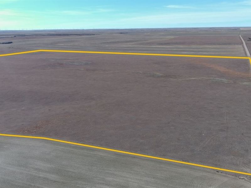 Ulmschneider Expired Crp : Bushnell : Kimball County : Nebraska