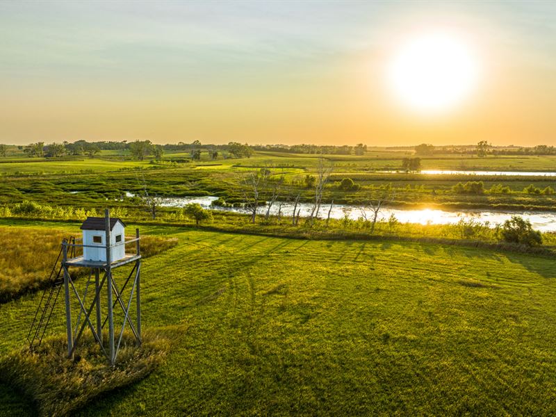 South Dakota Pheasant Acres East : Armour : Charles Mix County : South Dakota