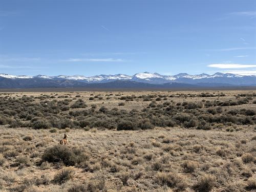 Off-Grid Ready Land : San Acacio : Costilla County : Colorado