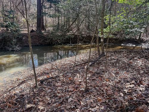 Fountain Creek Tract : Hamburg : Ashley County : Arkansas