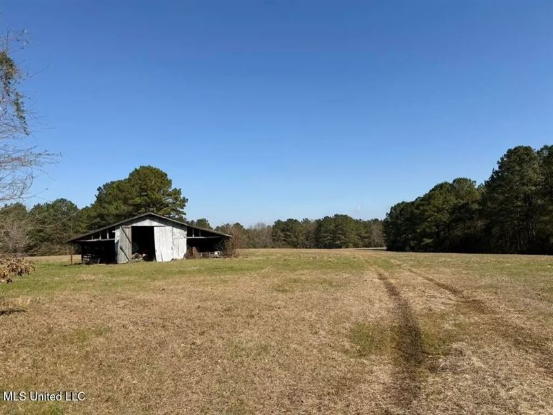 37 Acres Sandy Hook MS for Sale : Sandy Hook : Walthall County : Mississippi