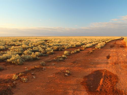 Scenic 5 Acres of Vacant Land in AZ : Saint Johns : Apache County : Arizona