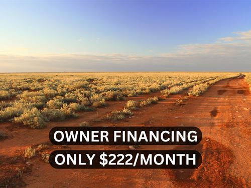 Scenic 5 Acres of Vacant Land in AZ : Saint Johns : Apache County : Arizona