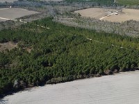 Tract 3, Greyhound Road, Mershon : Mershon : Bacon County : Georgia