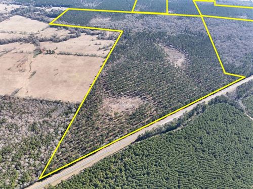 573 Acres, T-6, Highway 287, 104 : Pennington : Trinity County : Texas