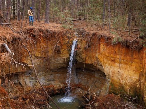 Treaty Springs Ranch : Brushy Creek : Anderson County : Texas