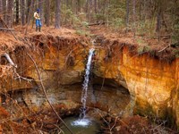 Treaty Springs Ranch : Brushy Creek : Anderson County : Texas