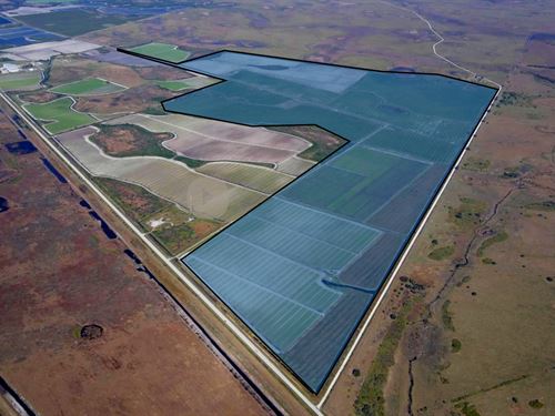 742.87 Acres Osceola County, FL : Okeechobee : Osceola County : Florida