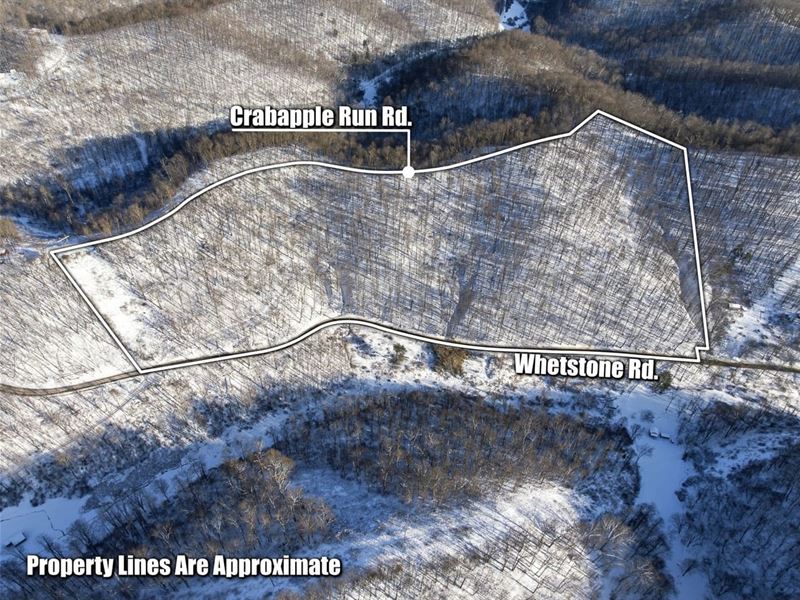 Whetstone Rd, 24 Acres : Mannington : Marion County : West Virginia