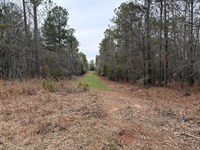 55-Acre Hunting Tract, Oglethorpe : Carlton : Oglethorpe County : Georgia