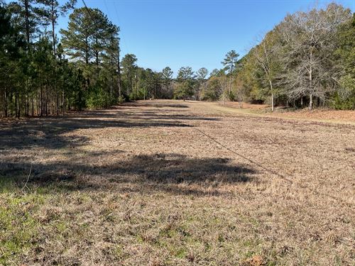 Point A Isle Road Lot, 5 Acres : Andalusia : Covington County : Alabama