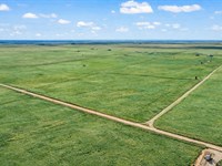 Beautiful 11 Acres in Lubbock : Lubbock : Texas