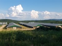 Ga/Al Poultry Farms for Sale : Heflin : Cleburne County : Alabama