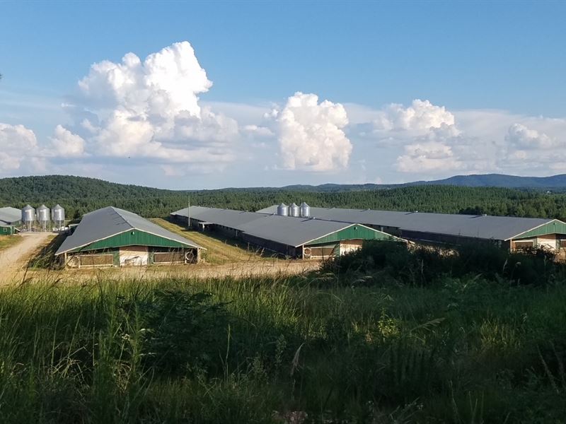 Ga/Al Poultry Farms for Sale : Heflin : Cleburne County : Alabama