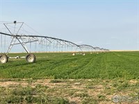 Kit Carson & Washington Irrigated : Cope : Washington County : Colorado