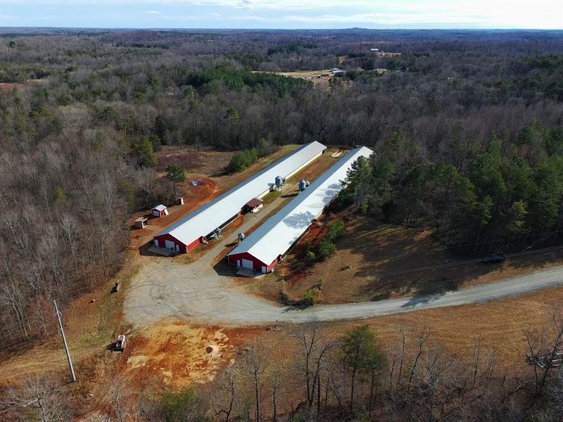 A&G Breeder Farm : Union Mills : Rutherford County : North Carolina