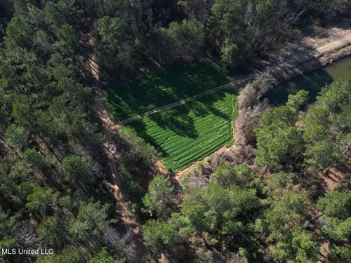 20 Acres in Hazelehurst, MS Near : Hazlehurst : Copiah County : Mississippi